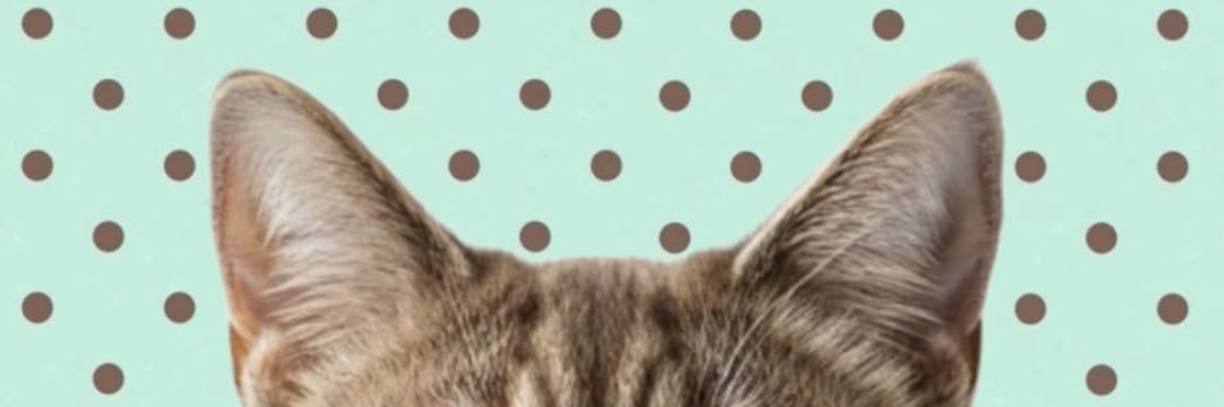 nnimiyuu's profile banner image