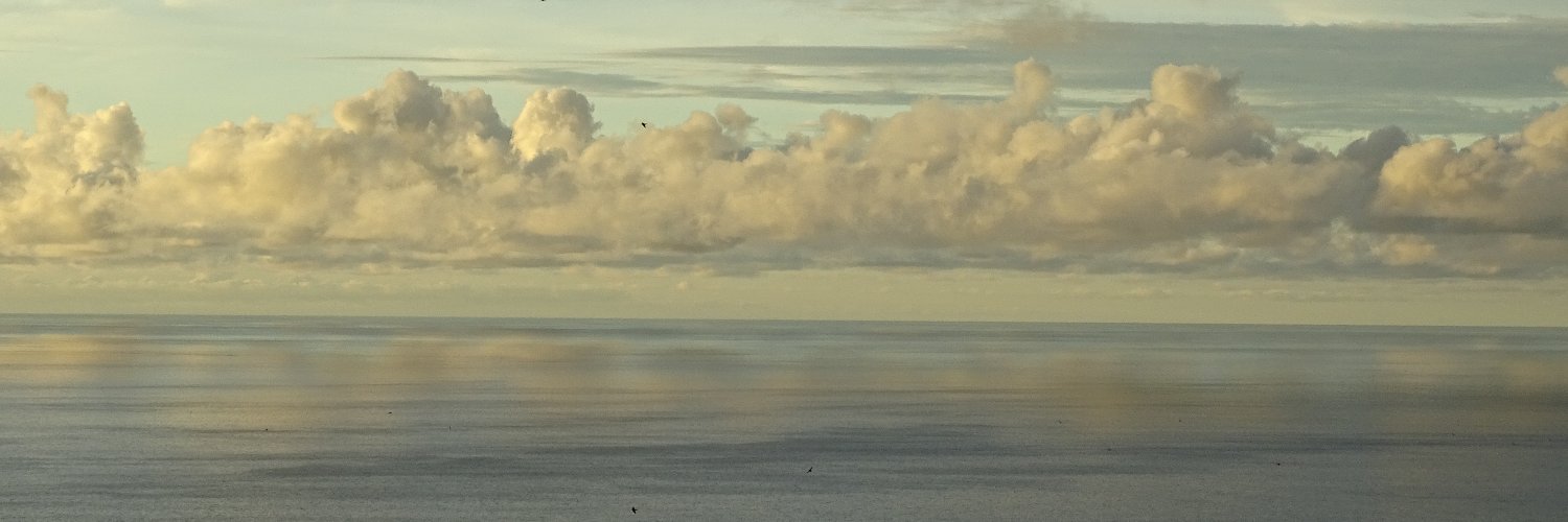 JDELGAD's profile banner image