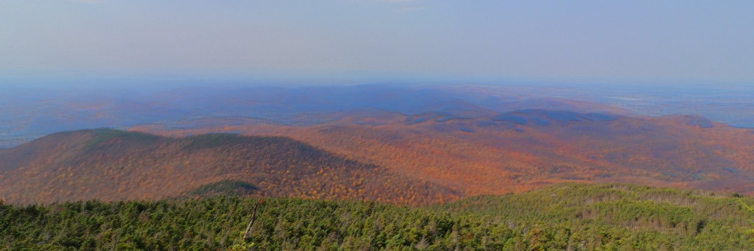 grantHalsey's profile banner image