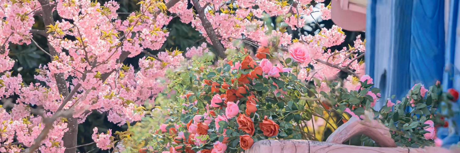 x169185's profile banner image