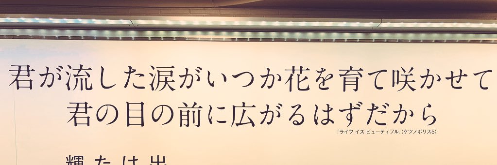 mgm@BUMP衛星3/30.31 banner