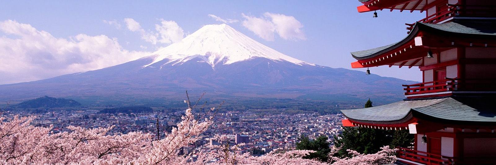 Stéphane Reuille banner