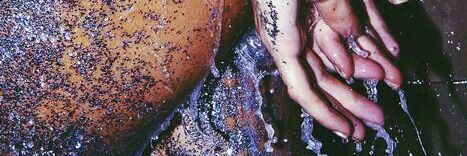 cimicifuga020's profile banner image