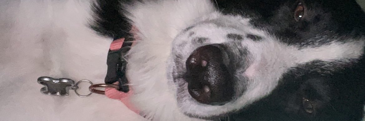 FaradayRowan's profile banner image