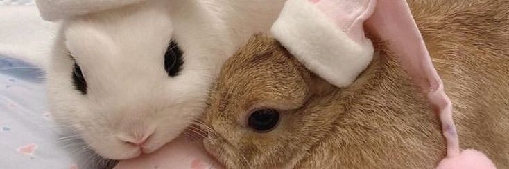 ioveyeeu's profile banner image
