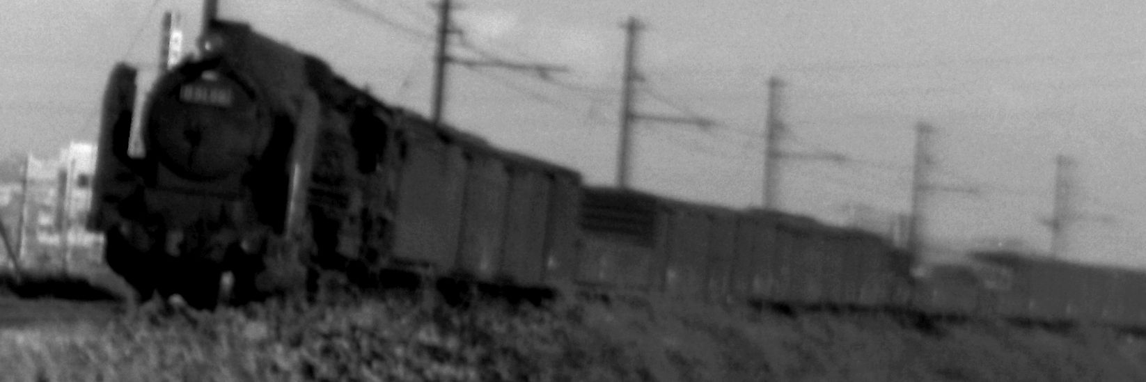 d511007's profile banner image