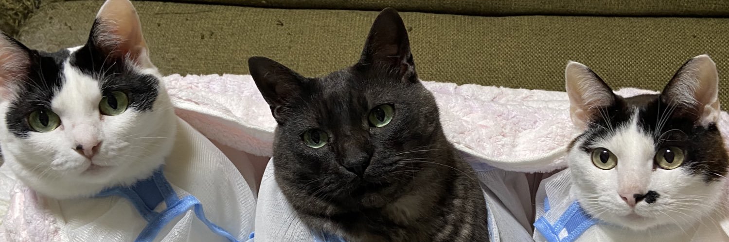 アイスクリーム banner