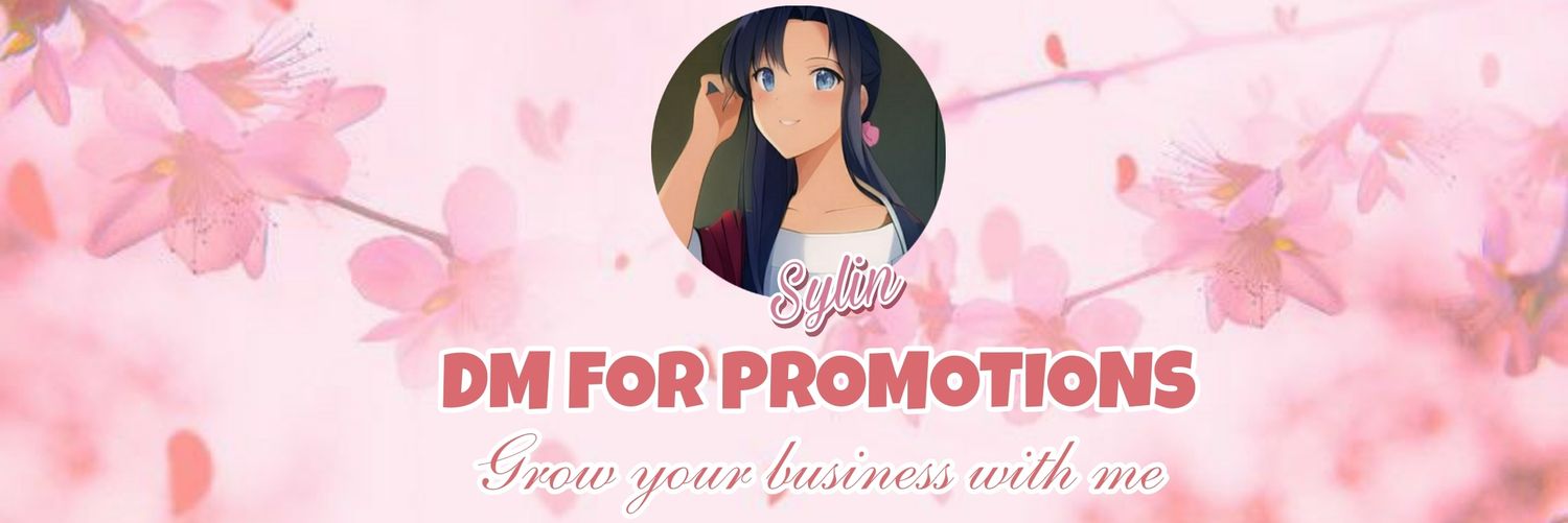 SylinPromos's profile banner image