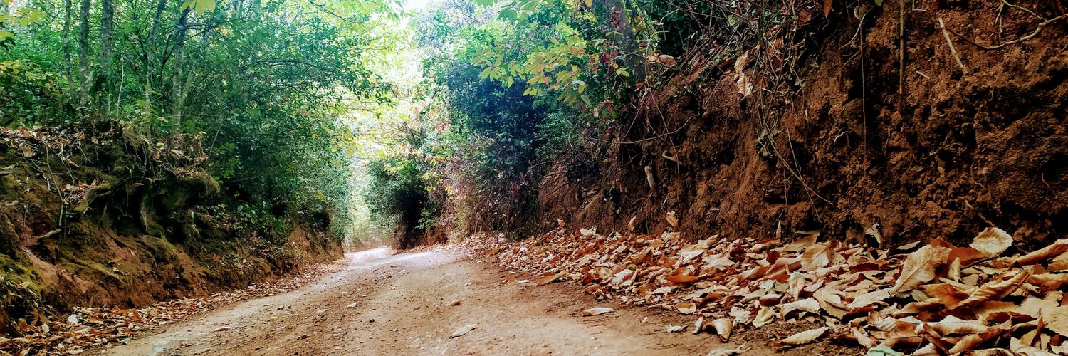 Pablo Jose Valseca banner