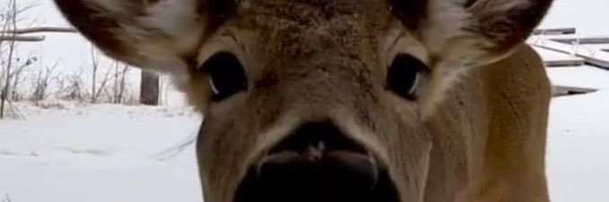 LewdWarpZone's profile banner image
