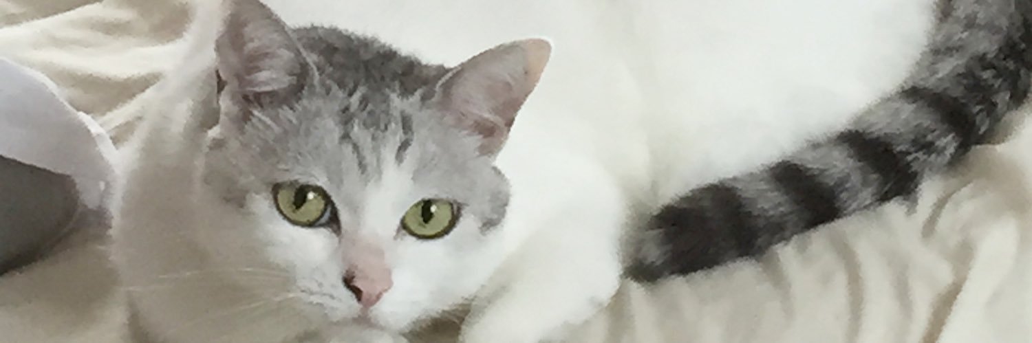 ただおさん banner