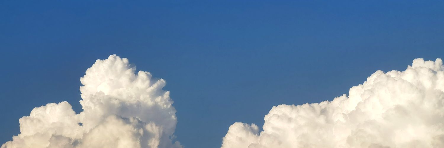 mengjia997's profile banner image