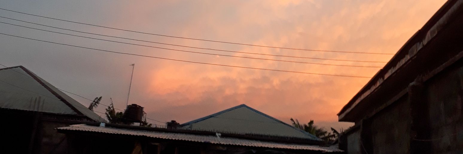 fofseno's profile banner image