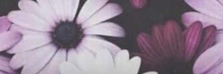 yuuukochan's profile banner image