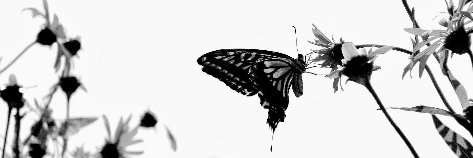 NisyaAuliaAzha's profile banner image