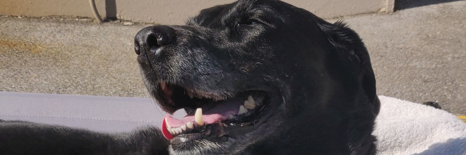 OhhMattyBoy's profile banner image
