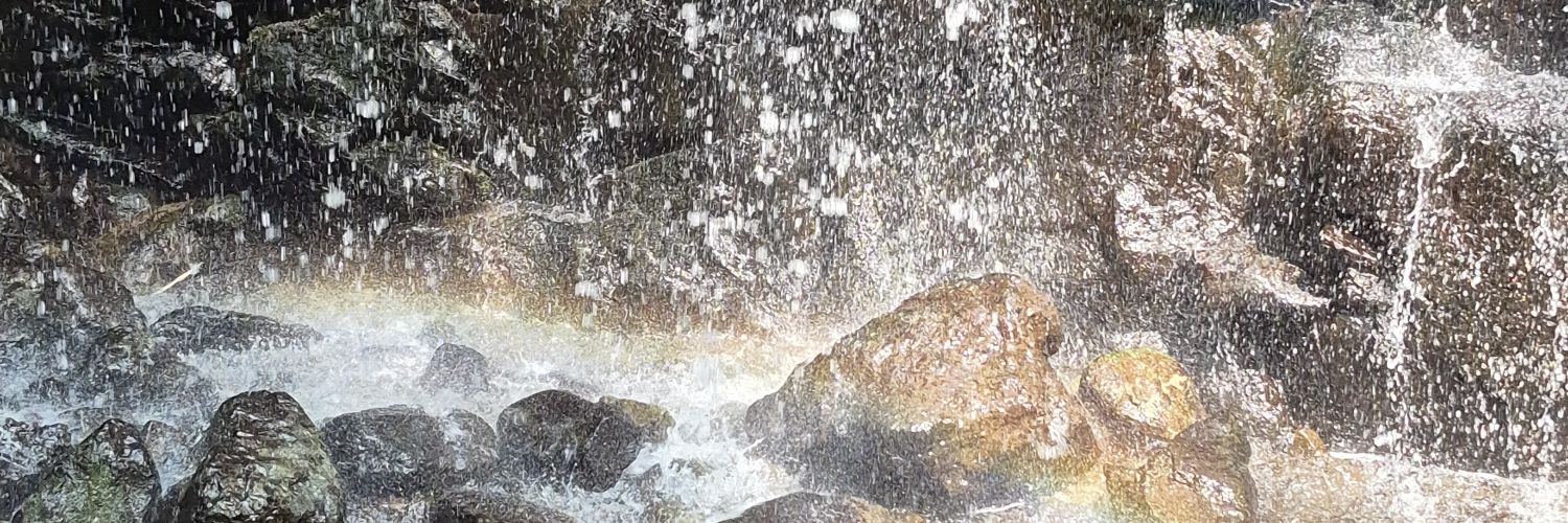 Genie_Planetree's profile banner image