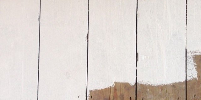 Pierluigi Pantaleoni banner