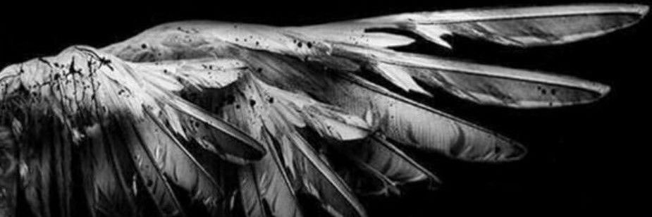 _nowhere21's profile banner image