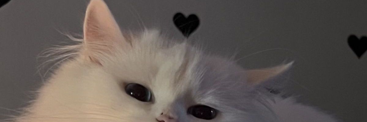 Kat banner