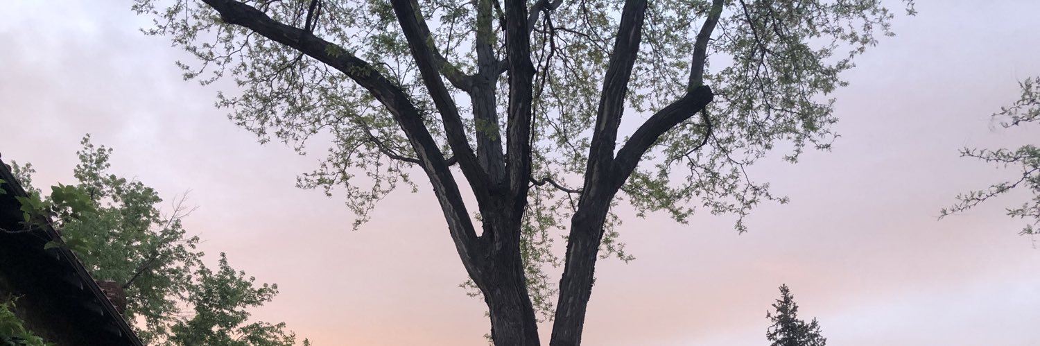 sam_r_i's profile banner image