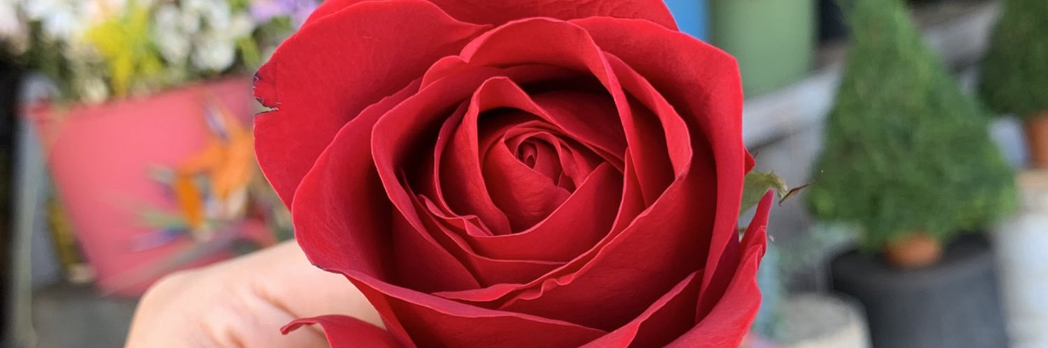 yhcami7's profile banner image