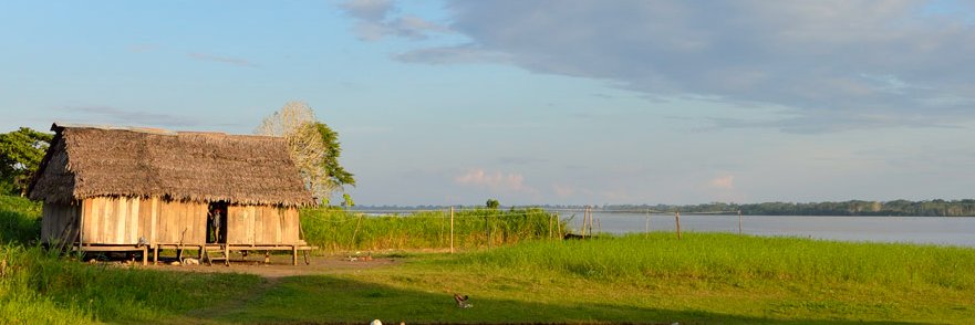 goodlotz banner