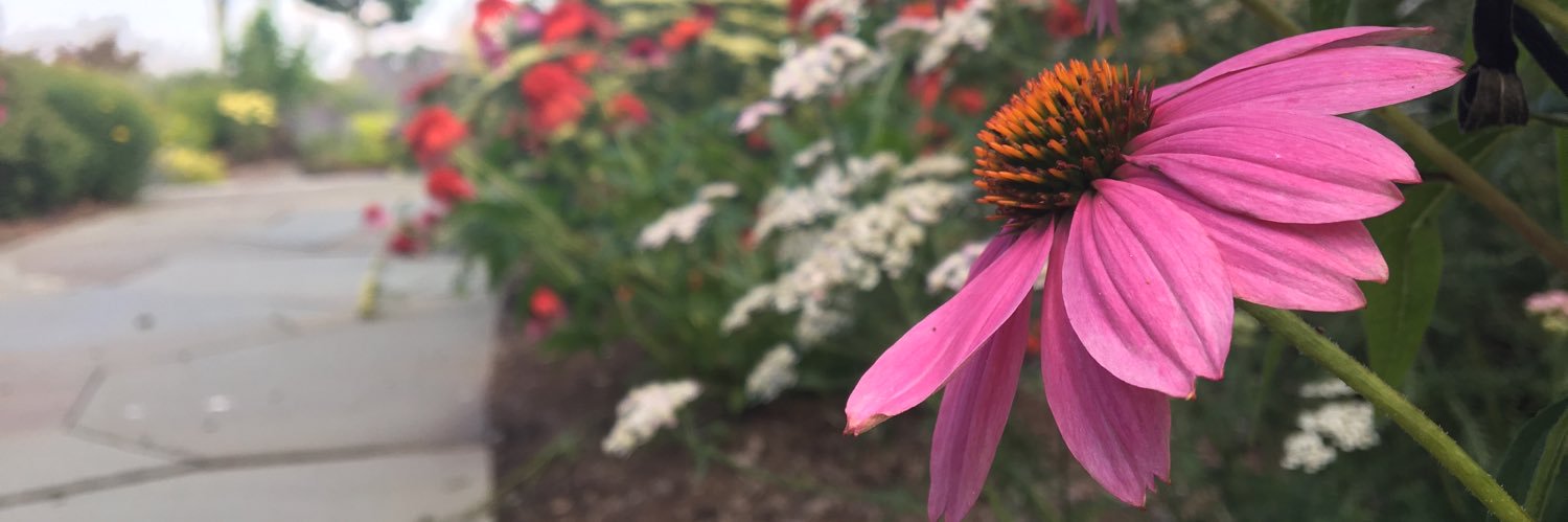IndyReynolds's profile banner image