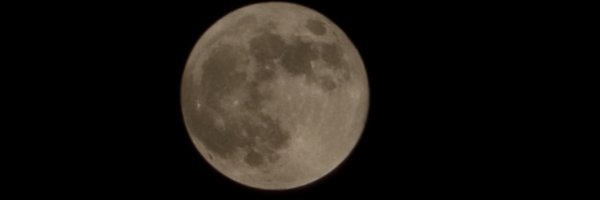 MSBaig12 Profile Banner