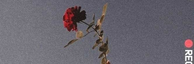 EN_1208SH's profile banner image