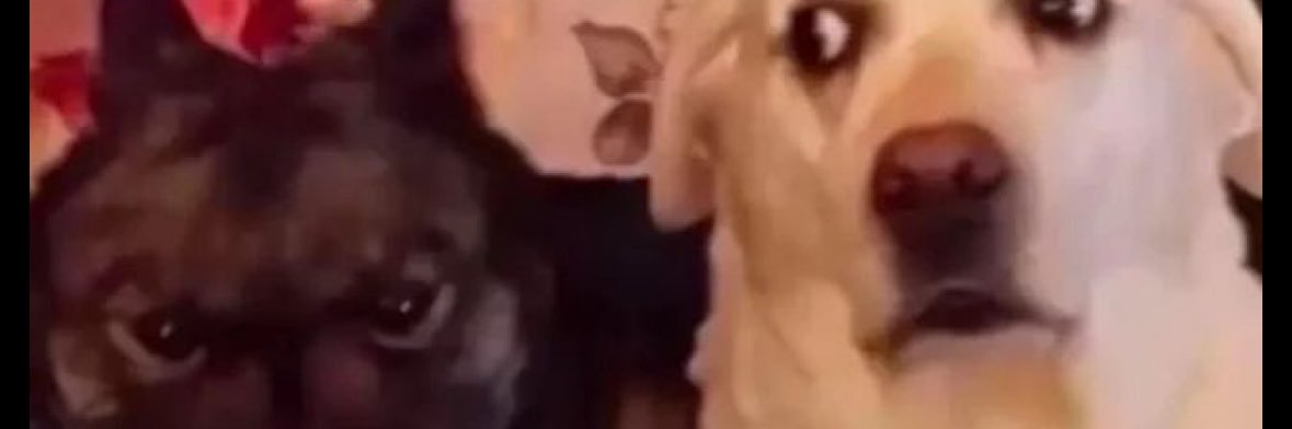 dreblizzyy's profile banner image