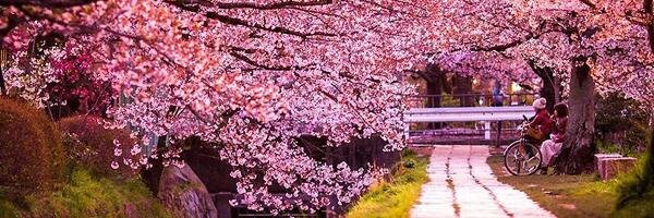 ta_r1's profile banner image
