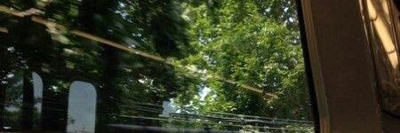 :) banner