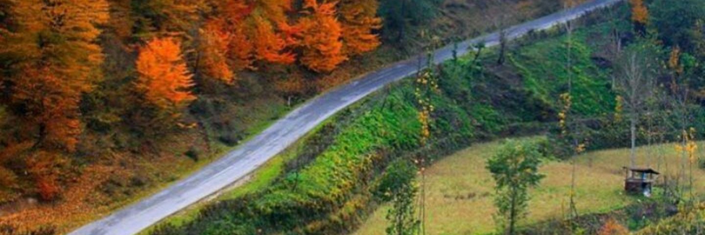 Sabereh Sabagh banner