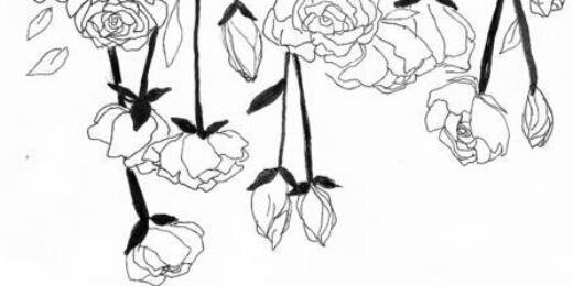 carrymeaway_'s profile banner image