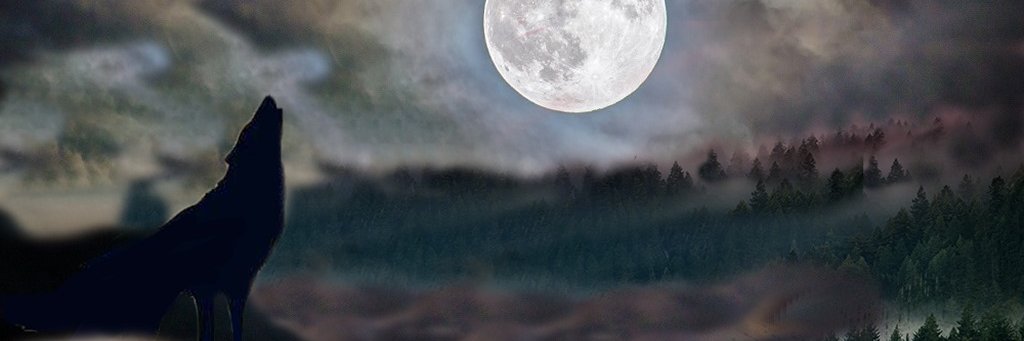 Vilq88's profile banner image