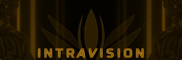 intravision_us Profile Banner
