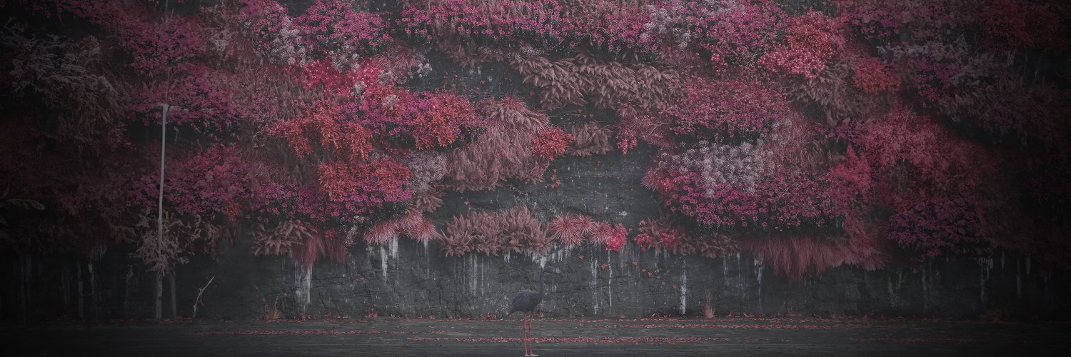 Igal Tabachnik banner