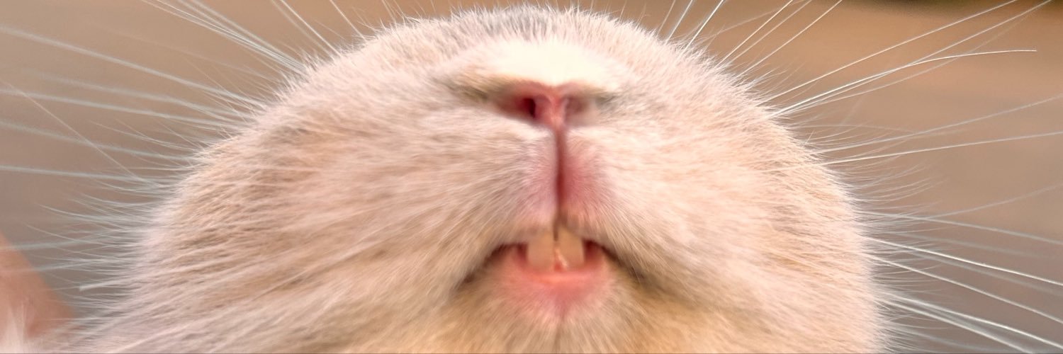 kaoryjxx's profile banner image
