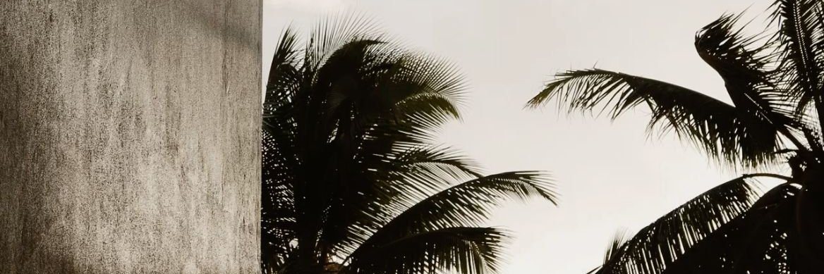 abdaziz_f9's profile banner image
