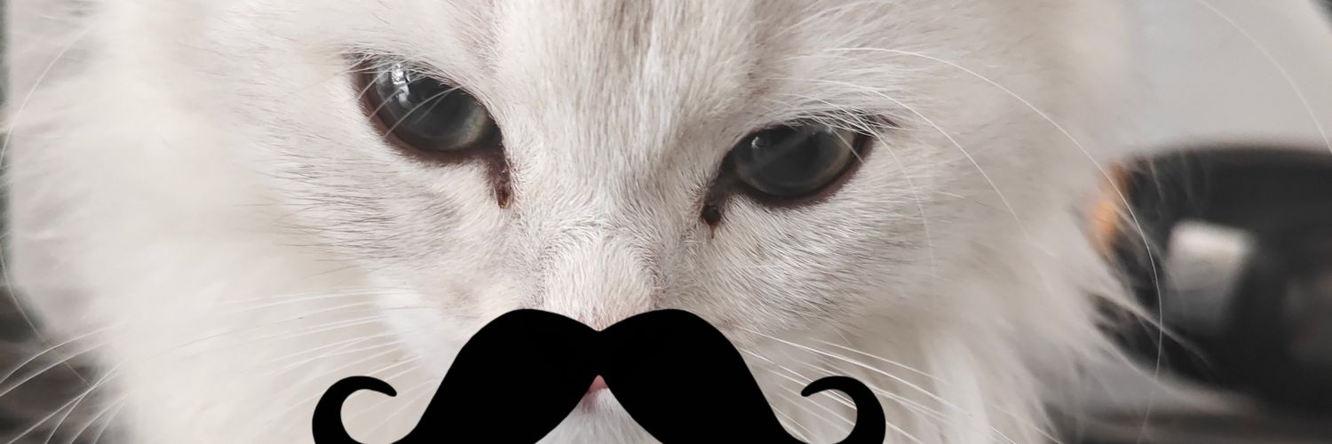 egufdsr's profile banner image