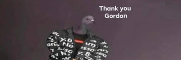 Mitch_Dolly's profile banner image