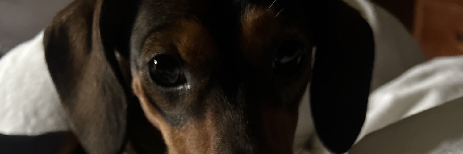 karinas_4's profile banner image