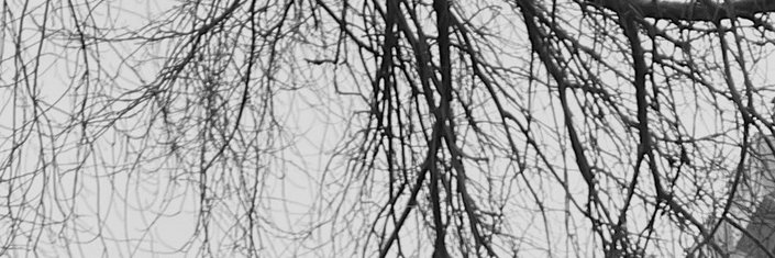 yulyaem467's profile banner image