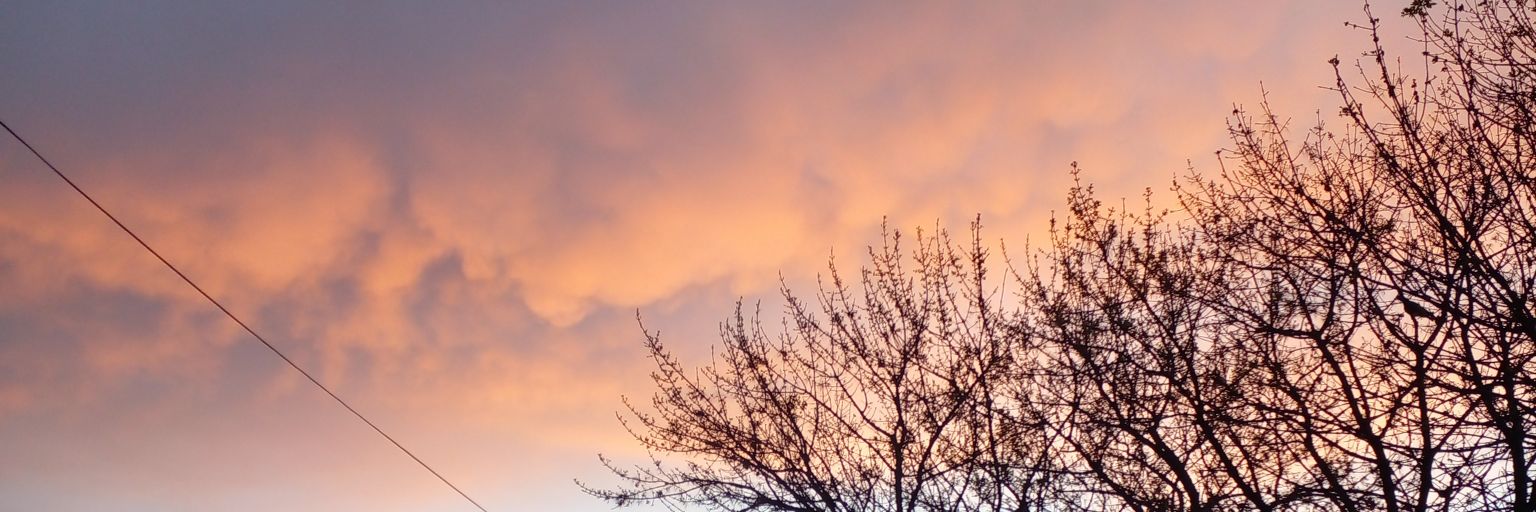 malepandolfi's profile banner image