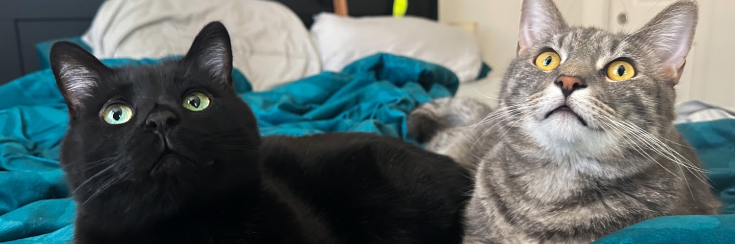 Jacob Fullerton banner