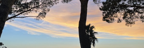 BevJack Profile Banner