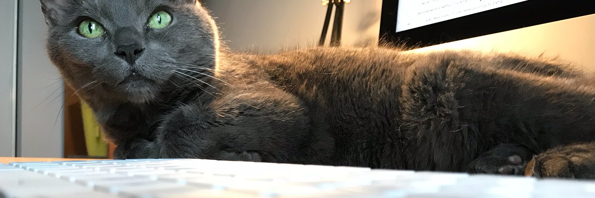 Daniel Germain banner