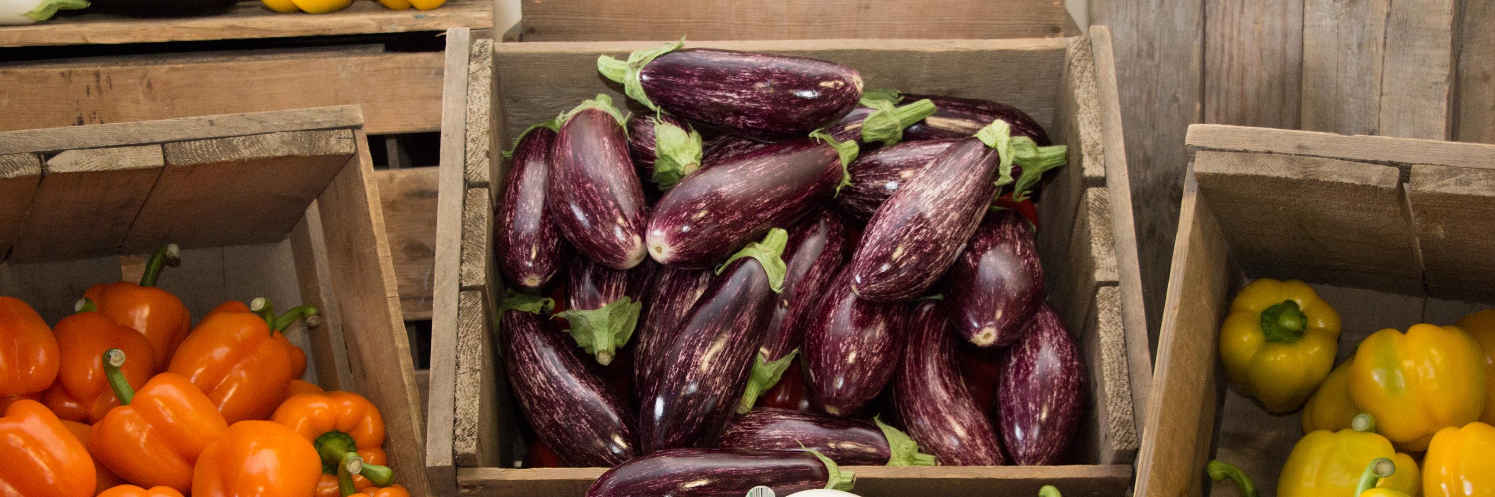 St.DavidsHydroponics banner