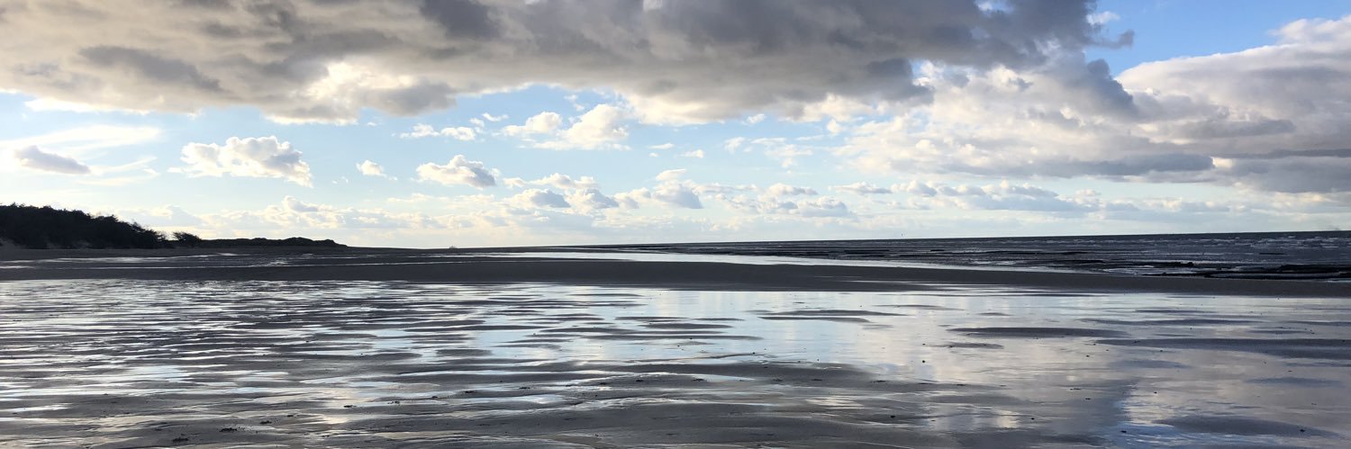 Clare Connerton banner